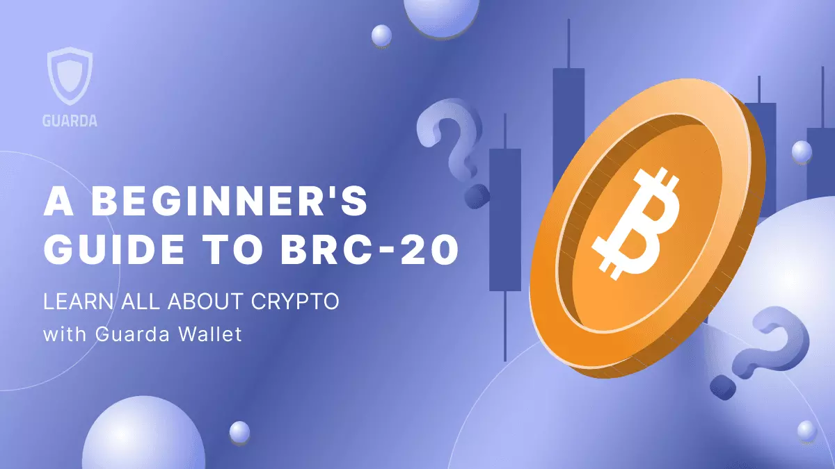 A Beginner's Guide to BRC-20 