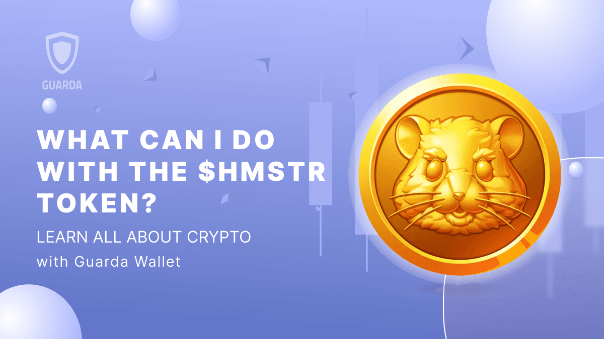 What Can I Do with the $HMSTR Token if It’s My First Cryptocurrency? 