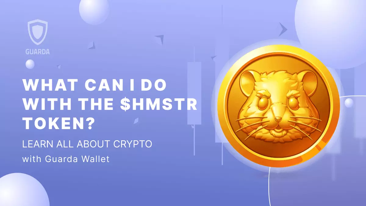 What Can I Do with the $HMSTR Token if It’s My First Cryptocurrency? 