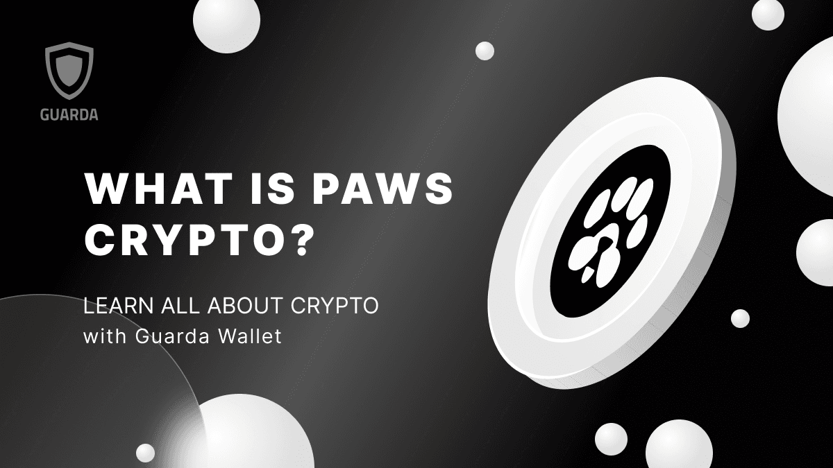 What is Paws Crypto? A Dive into the Innovative Play-to-Earn Ecosystem 