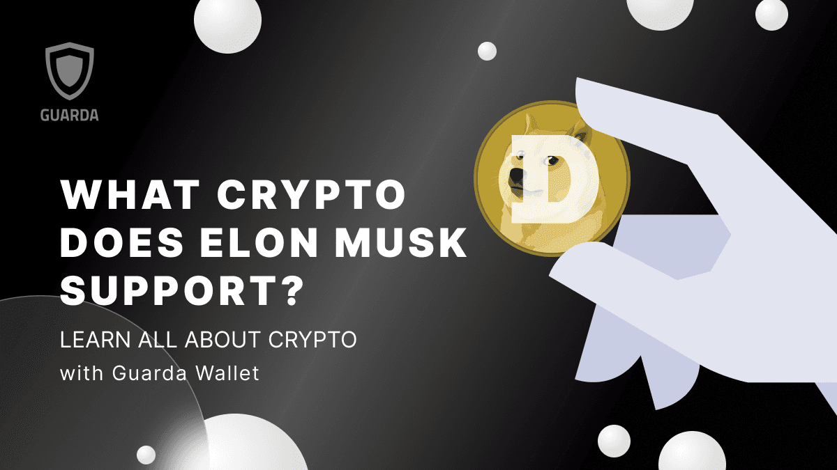 What Crypto Does Elon Musk Support? A Deep Dive into His Impact on the Crypto Market