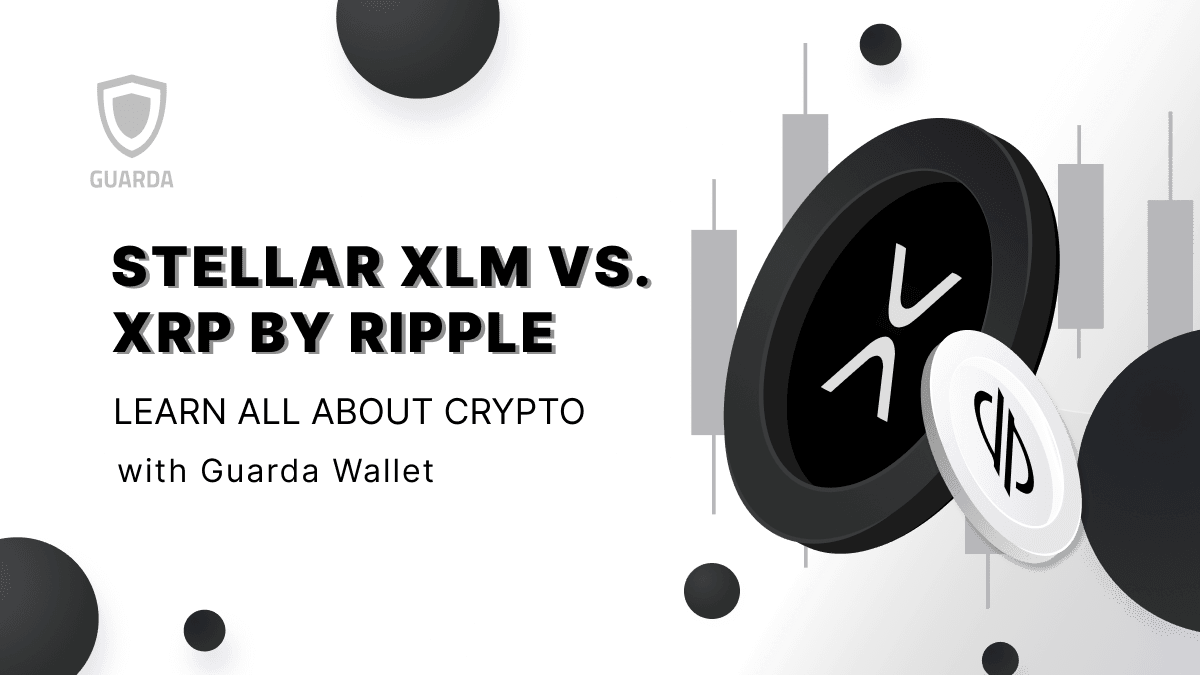 Stellar XLM vs. XRP by Ripple: What Are the Differences and Which Is Better?