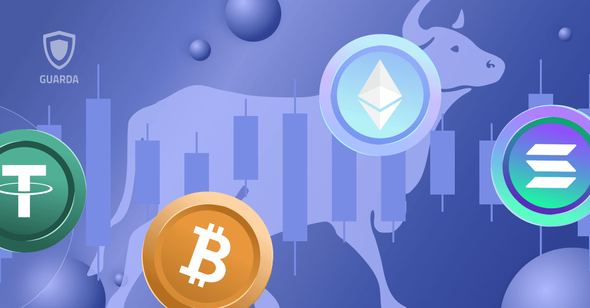 Crypto Bull Run 2024: What is a Bull Market and How to Navigate It?