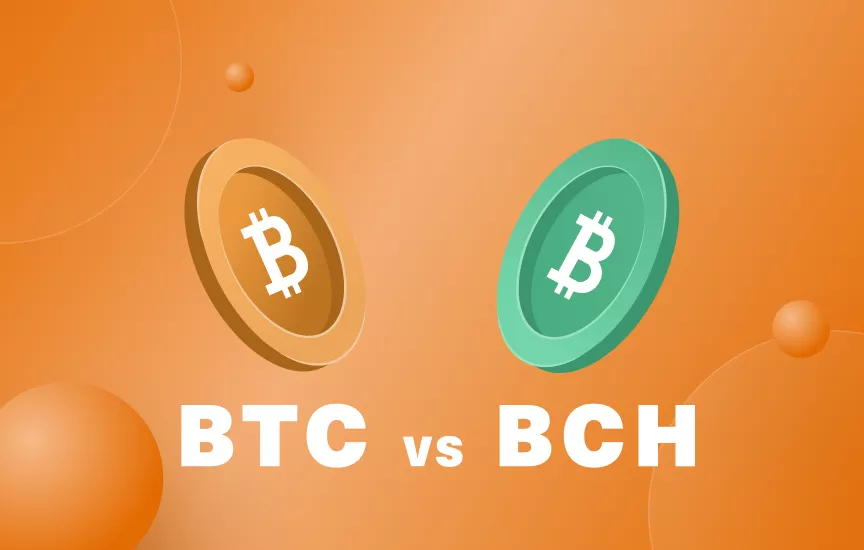 Bitcoin Vs. Bitcoin Cash: What Are The Differences? | Academy Guarda.com