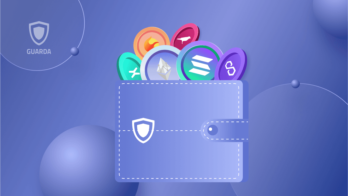 What is a Crypto Wallet and How to Choose One?