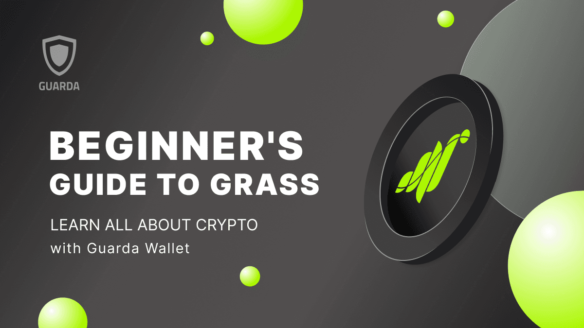 Beginner's Guide to GRASS: What You Need to Know About This Emerging Cryptocurrency