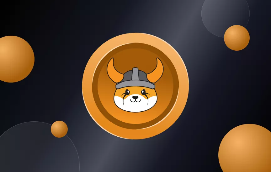 What is Floki?: A Journey to Valhalla