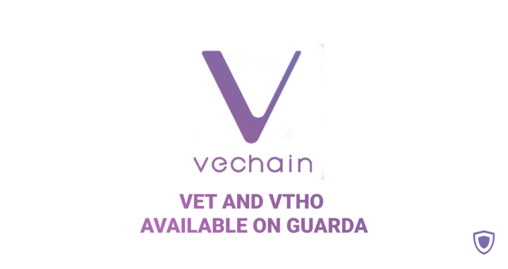 How to create VeChain wallet? Store VET and VTHO